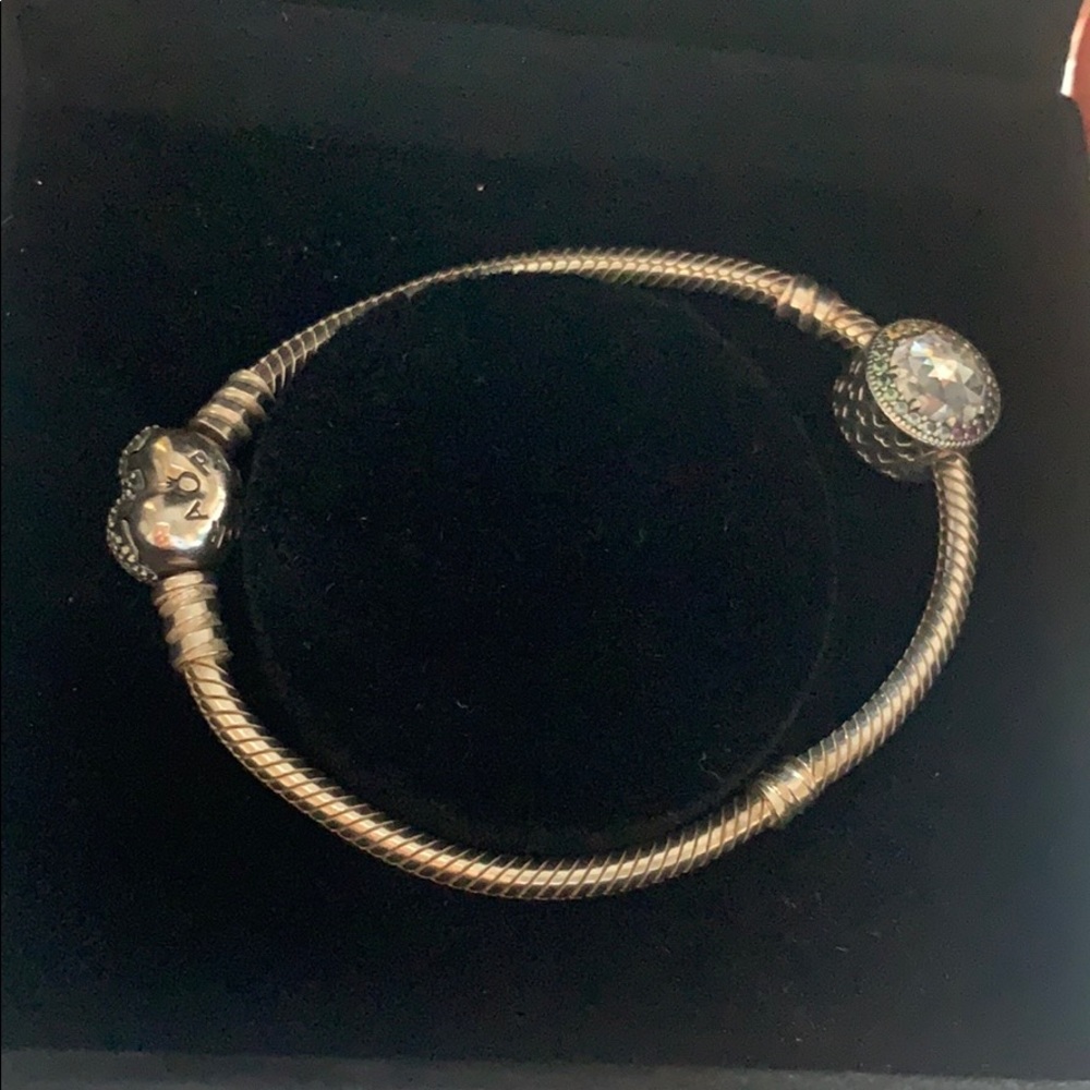 Pandora Charm Bracelet